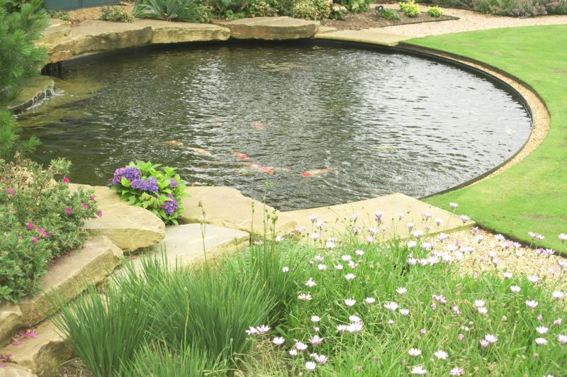 Pond Digging Service