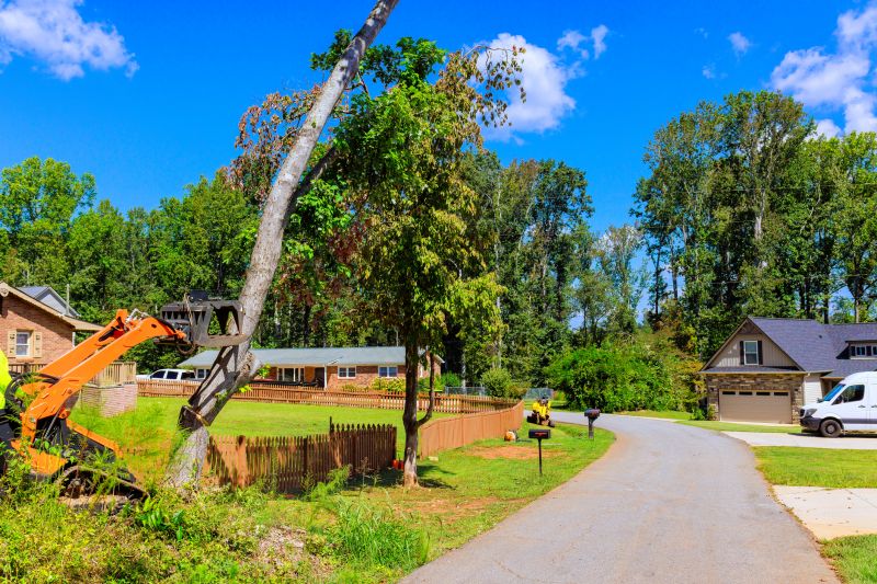 Residential Excavation