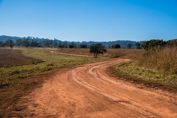 Dirt Driveway Repair in Hayden