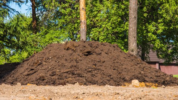Dirt Installation in Hayden