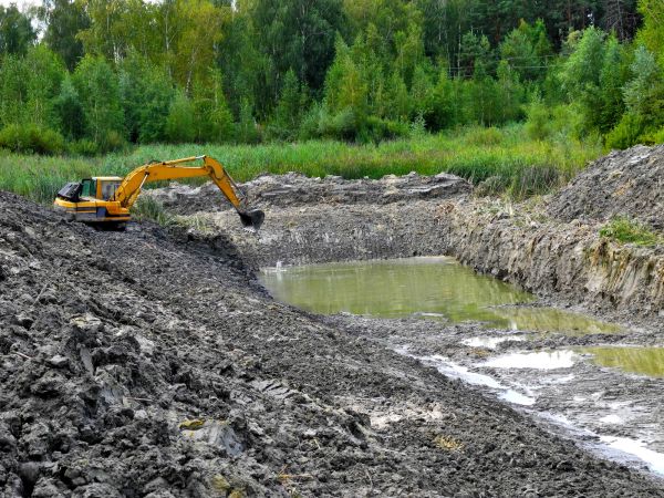 Cost of Fish Pond Digging in Hayden
