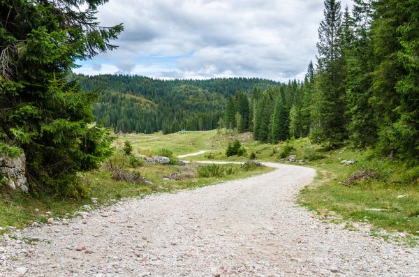 Cost of Gravel Road Grading in Hayden