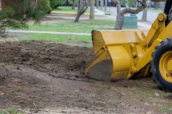 Backfilling Service in Hayden