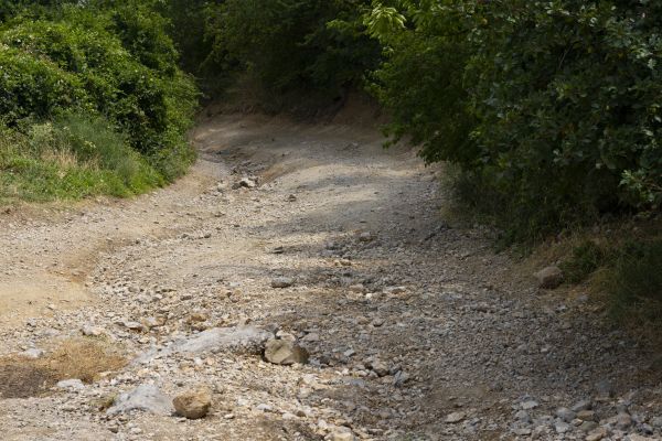 Cost of Gravel Road Pothole Repair in Hayden
