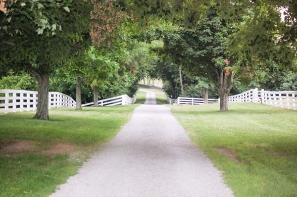 Gravel Driveway Construction in Hayden