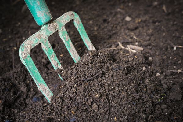 Cost of Topsoil Spreading in Hayden