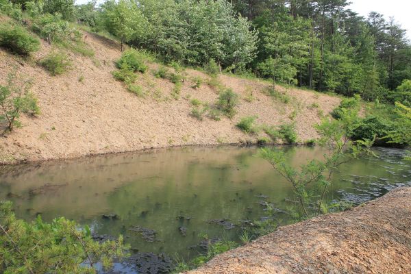 Cost of Pond Erosion Repair in Hayden