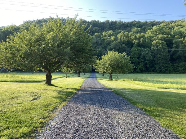 Cost of Gravel Road Construction in Hayden