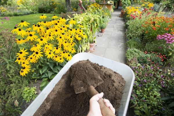 Cost of Topsoil Installation in Hayden