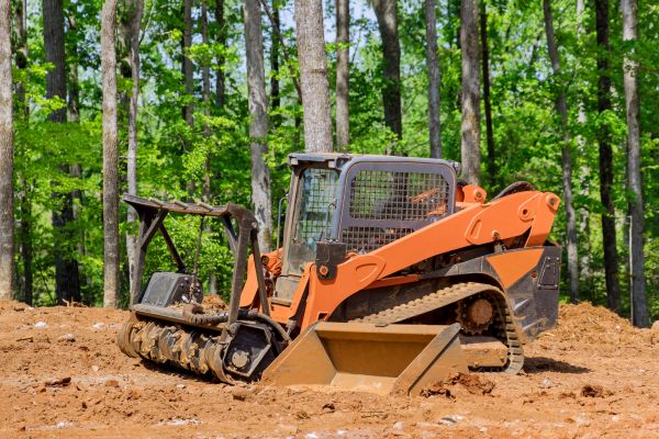 Bulldozer Land Leveling in Hayden