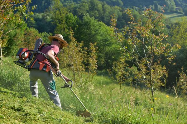 Cost of Slope Trimming in Hayden